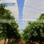Reinforced hdpe woven fabric plastic rain cover clear plastic tarp for cherry tree or greenhouse