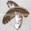 Auto Parts Brake Shoe For CAR STAREX PORTER SA099 58305-4AA00