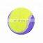 Hot Sales Dog Training Elastic Tennis Ball Pet Playing Toy