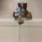 Japan Solenoid Valves CKD Water Electric Pressure Reducing Valve Pressure Safety Relief Valve RP1000-8-04