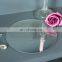 cheapest 12 Inch Round Plate Glass Mirror Price with Bevelled Edge