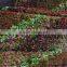 Vertical Garden wall, Waterproof Garden Pots for Indoor & Outdoor Use on Patios, Balconies & Apartments