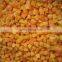 Sinocharm frozen vegetable Factory of Frozen Cooked Pumpkin peeled block 2-4 cm
