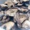 crispy dried mushrooms vacuum low temperature fried vf mushrooms