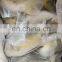 golden pomfret frozen golden pompano frozen golden pomfret fish good price