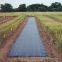 Woven Weed Control Fabric Ground cover Farm PP Anti Grass Cloth with UV Protection