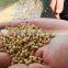 high quality fish feed extruder floating fish feed making machine