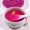 Organic Dragon Fruit Powder Supplier