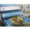 Automatic high quality prickly pear juice production line