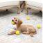 Squeaky ball