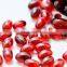 Premium Quality DIETARY SUPPLEMENT 500mg KRILL OIL Softgel