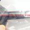 Denso Original and New Fuel Injector 095000-6250 for Navara 16600-EB70A 16600-EB70D