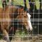 Galvanized cattle wire mesh fence hot sale