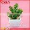 Manufacturers simulation tree plants indoor plants wholesale home decoration glass Decoration