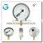 High Quality 6 Inch Stainless Steel Brass Internal Master Gauge for Testing Pressure