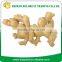 Chinese Fresh Ginger with good quality for sale
