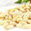 Chinese Pine Nuts Without Shell for Export