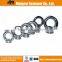 Supply carbon steel stainless steel standard type lifting eye DIN582 nut
