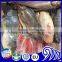 Frozen seafood & fish suppliers