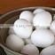 Best quality Fresh eggs exporter