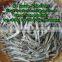 ANCHOVY FISH