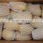 Fresh Chinese Potato Packing in Box And Carton