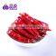 AD Pungent Elongated Dried Red Chili Pepper
