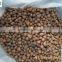 Bulk Expanded Clay Pebbles as Growing Media for Hydroponics