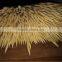 High quality bamboo green barbecue series of food