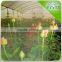 Industrial rose garden irrigation & watering system