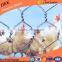 Hexagonal decorative chicken aviary cage wire mesh for plastering