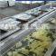 GP-I Pre-treatment Production Line for Quick Frozen Vegetable