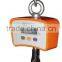 2014 new designed 300kg digital crane scale