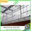 2015 China Low Cost Galvanized Pipe