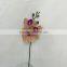 3 flower heads orchid flowers for room decor