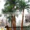 SJH4474 Palm tree with cheap price palm tree for OUTDOOR decoration