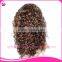 Natural Hairline Gluless Silk Top Full Lace Afro Kinky Human Hair Wig