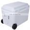 GINT Hard Rotomolded Coolers 2020 Ice Waterproof Oem Customized Box Packing Plastic Color