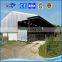 china supplier steel structure cattle cow farm pig shed building
