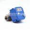 motor ball valve BSP NPT brass ss304 CWX-25S electric dn25 motor ball valve