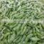 Wholesale high quality IQF frozen green edamame soy bean to korea