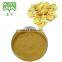 Gingerols 5% 6% 15% ginger powder black ginger extract Ginger Root Extract