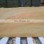 natural yellow teak wood  Sandstone with wood veins for  paving stone