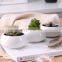 Home And Garden 2021 Wihte Simple Small Size Ceramic Round Bonsai Pot Garden Pots