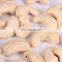 new crop whole white premium quality  Cheap Price Cashew Nut price per kilo or kgs
