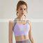 Ins Hot Sale Color Blocking High Support Shockproof Sport Yoga Bra Top Adjustable Fixed Pads Gym Fitness Training Wear For Women