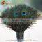 Factory Wholesale indian peacock feather for sale