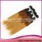 Fashionable Straight wave three colors gradient hair weaving cheap brazilian ombre hair weaving 3 tone cheap ombre Hair weave
