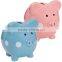 ceramic piggy bank-pink or blue