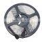 RGB LED Light 5M Waterproof Epoy 3528 300 SMD LED Strip With Remote Control Fita Led WS2812B